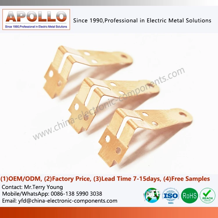 Beryllium Copper Stamping Spring
