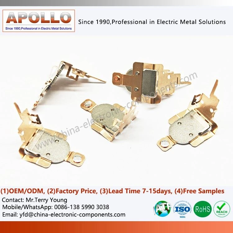Beryllium Spring for Relay